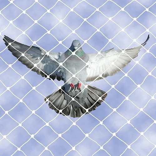 Anti-pigeon net Gurgaon NCR